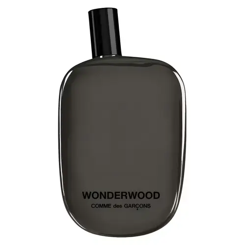 Wonderwood-Comme-des-Garcons.webp
